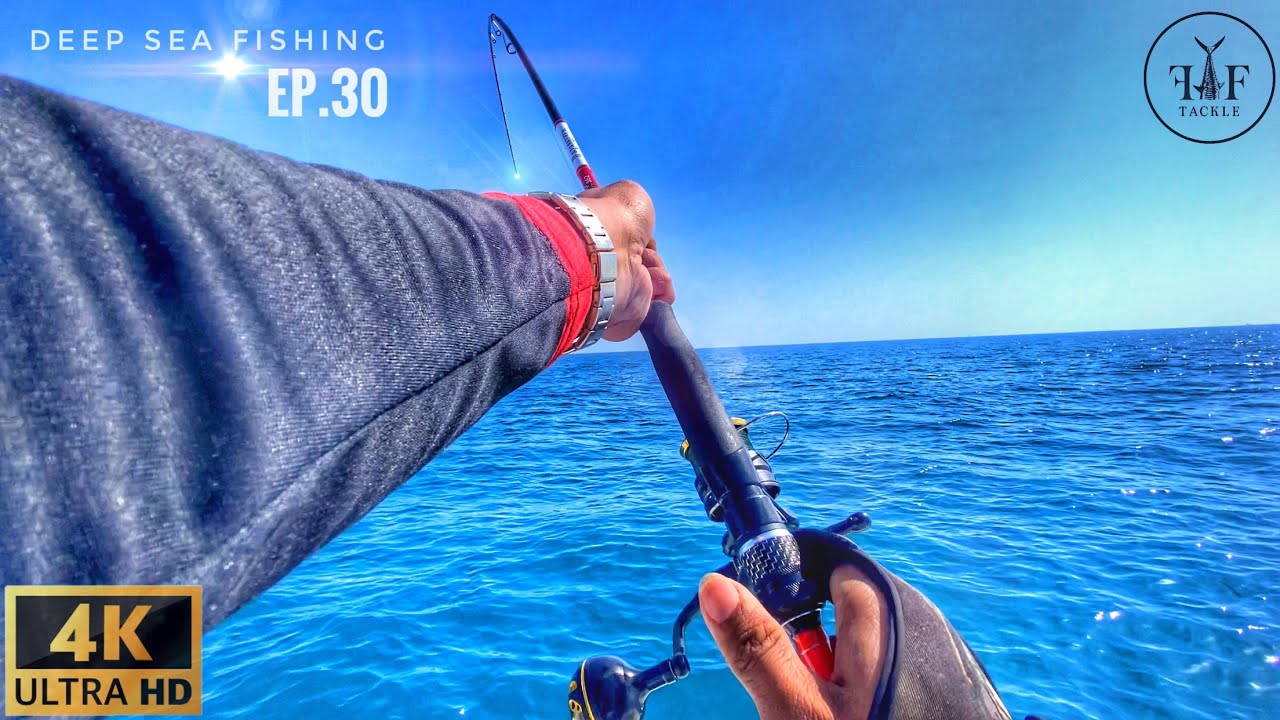Never underestimate the power of this fish! Fishing in Abu Dhabi