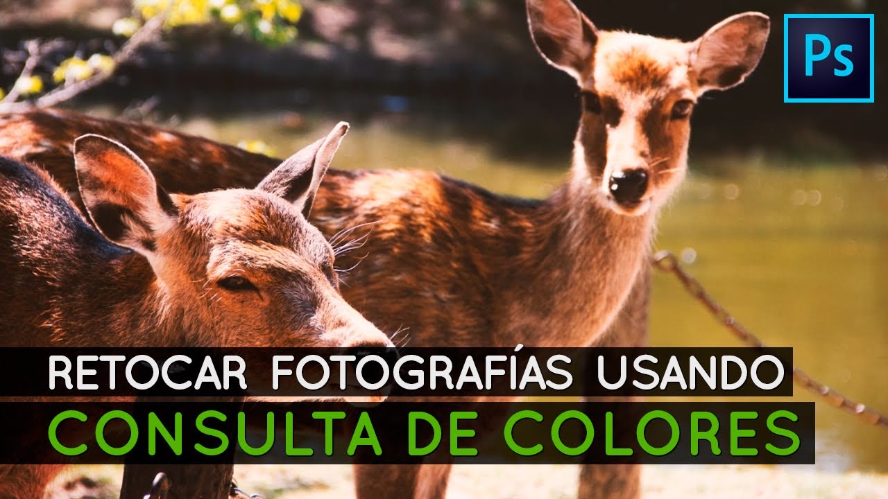 Retocar fotografías usando la 