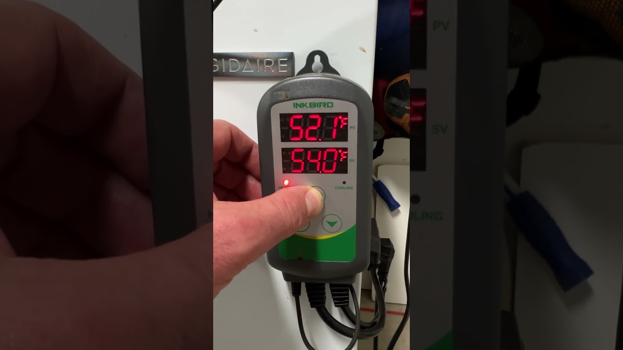 Vienna Lager Fermentation Free Rise #homebrewing #allgrainbrewing #temperaturecontrol