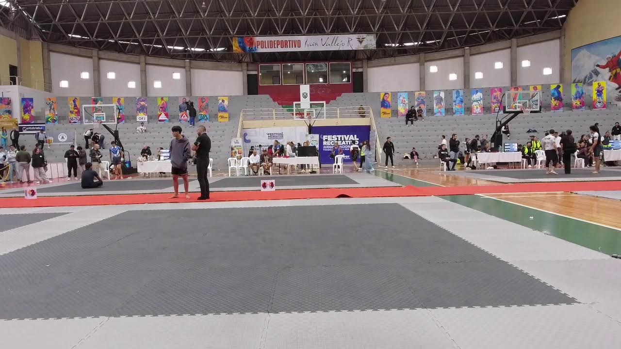 Jiu Jitsu Showdown Mat 2
