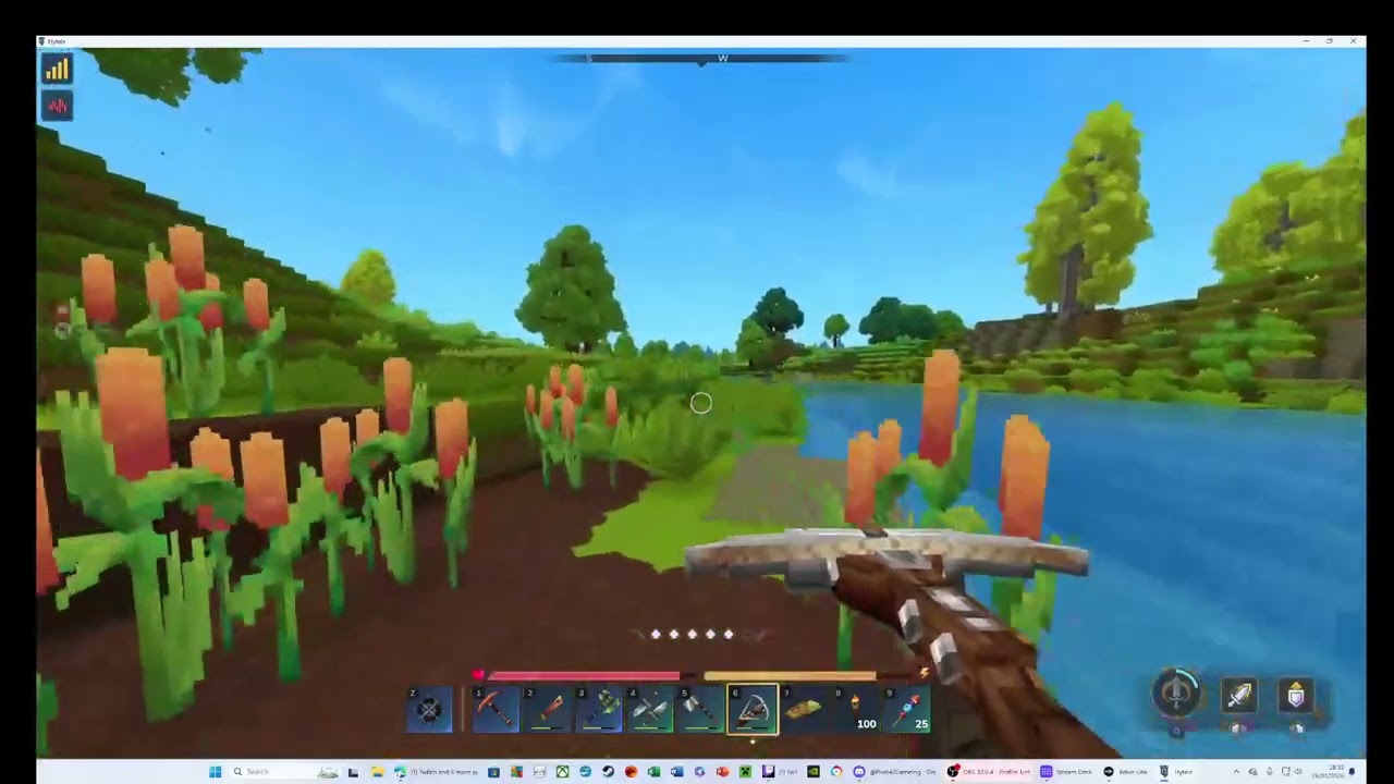 Hytale with Pixel42Gameing 26 01 2026