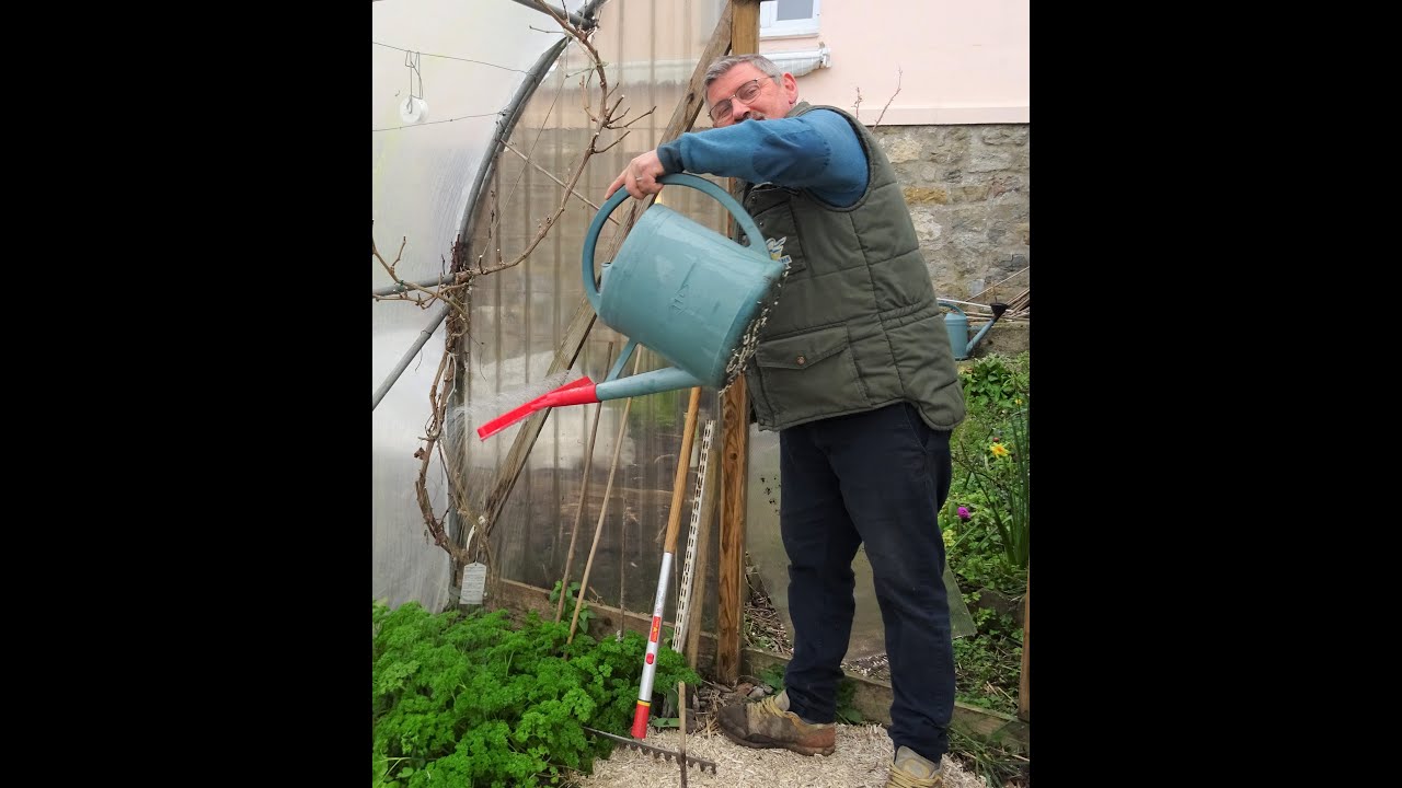 le 15/02/2023: Semis d'oignons et tour du potager