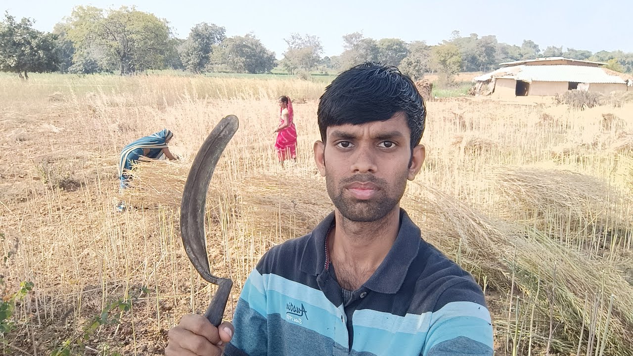 Maine Khet Mein Sarson Ki Katai Ki 😍 Family Ke Saath