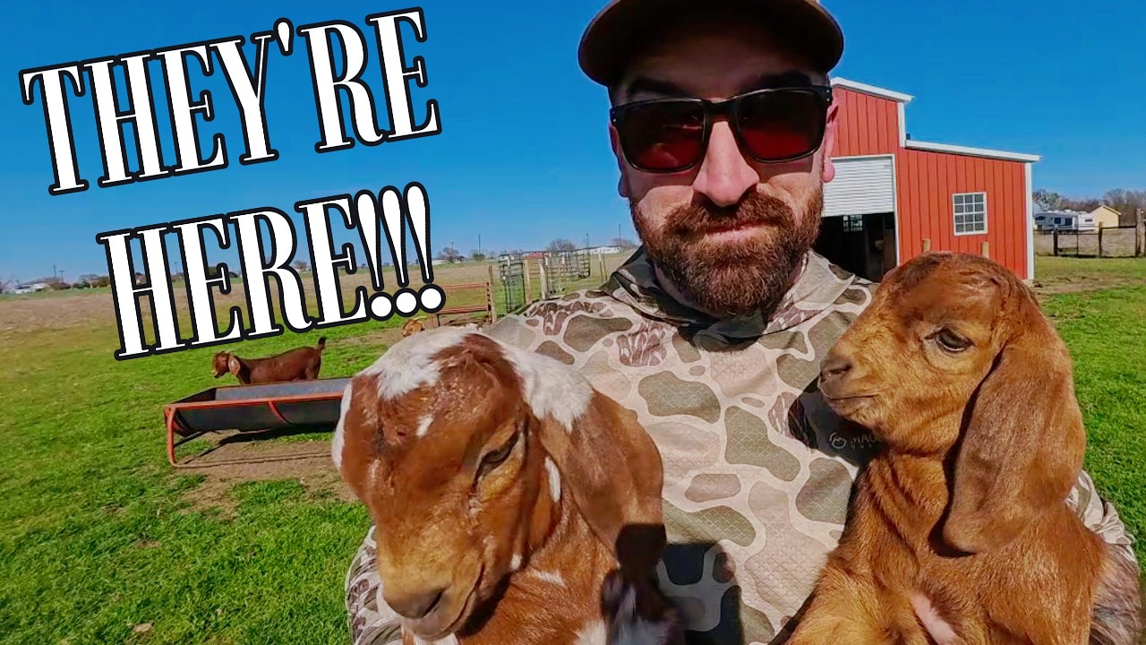 The Baby Goats Are Finally Here! It's KIDDING SEASON!