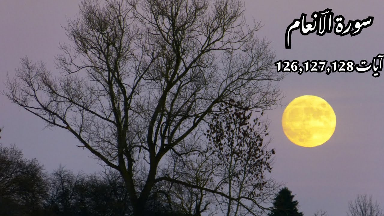 Surah Al An’am | سورۃ الؔانعام | آیات 126,127,128 | ترجمہ و تفسیر | Urdu translation and tafseer .