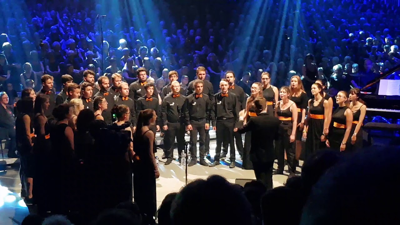 LES VOIX DE L'ESTUAIRE ( Stars / witness )