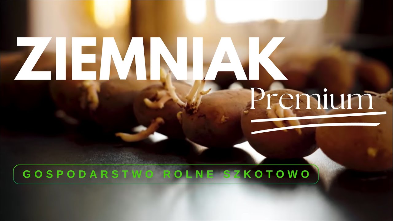 Ziemniaki sadzeniaki z g&oacute;rnej p&oacute;łki. Jakie są?