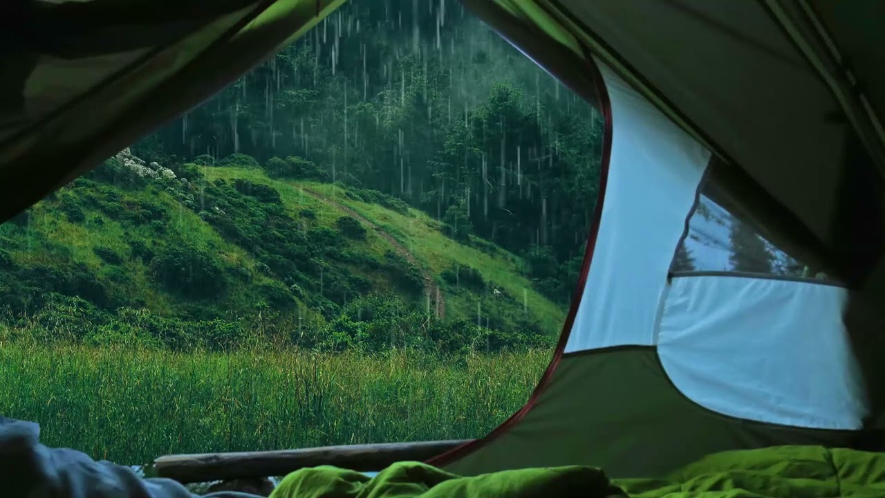 Rainy Wilderness and Tent | Sound of Rain, Outdoors, Woods | Rain Hitting Tent Sound | White Noise