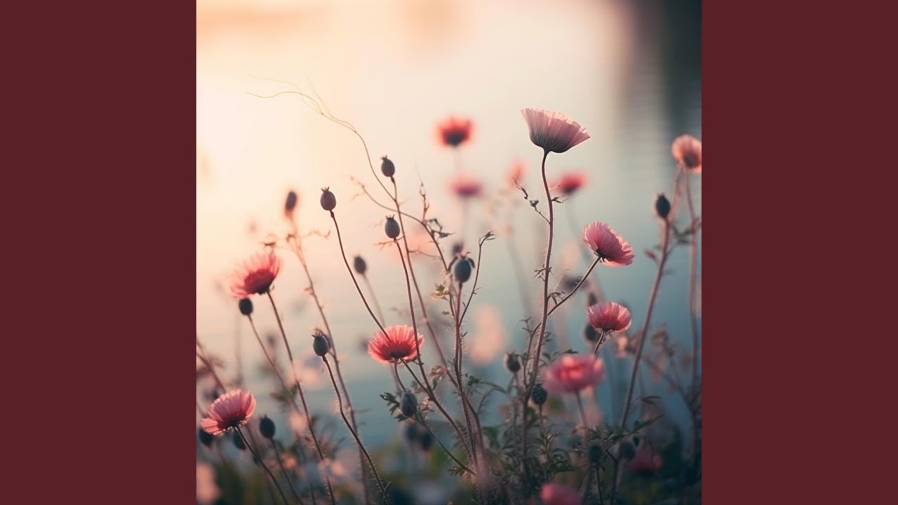 Just Beauty