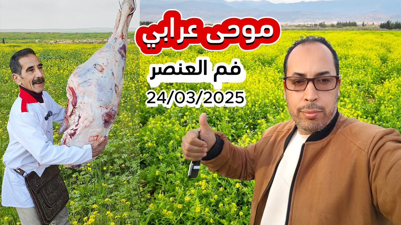 مع أشهر جزار بالمغرب  موحى عرابي من سوق فم العنصر بني ملال 24/03/2025 #مواشي #لحم #اكسبلور