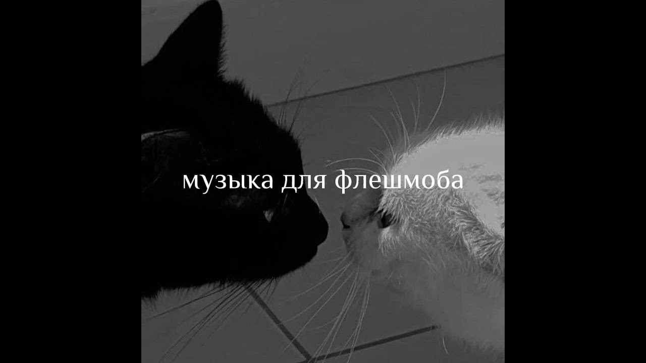 👤музыка для флешмоба👤