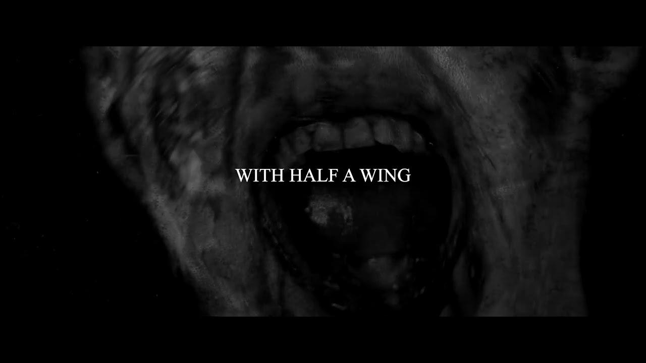 RAVNS- Kaishakunin feat. Harry Tadayon of Worm Shepherd