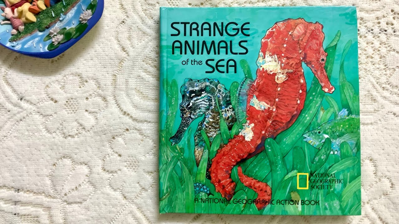 Strange Animals of the Sea