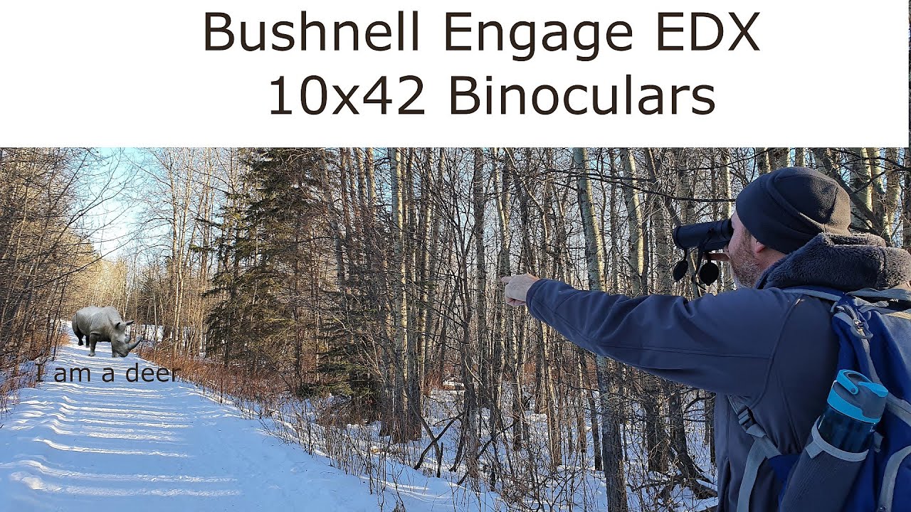 Bushnell Engage EDX 10x42 Binoculars Review