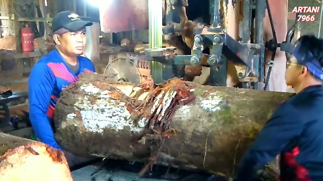 KAYU JENIS MERAH