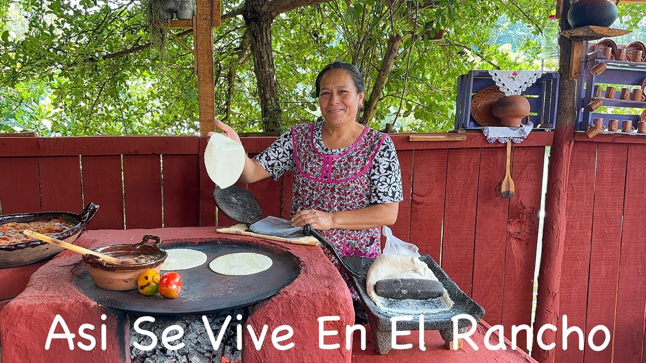Tortitas De Ejotes Con Queso, Receta FÁCIL Y ECONÓMICA
