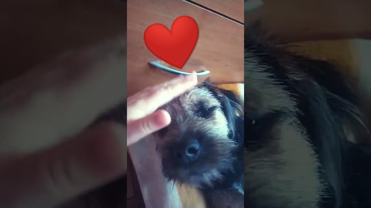 kjut❤️❤️❤️