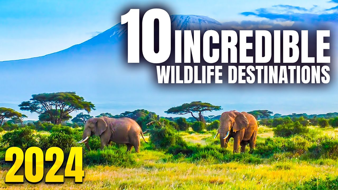 Top 10 Best Wildlife Destinations in The World Spotting 2023