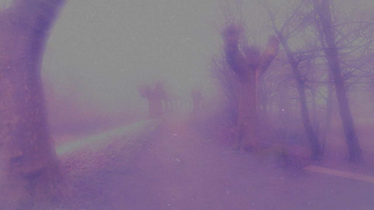 in the early hours