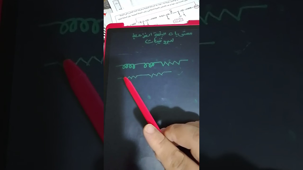 مستويات البنية الفراغية للبروتينات