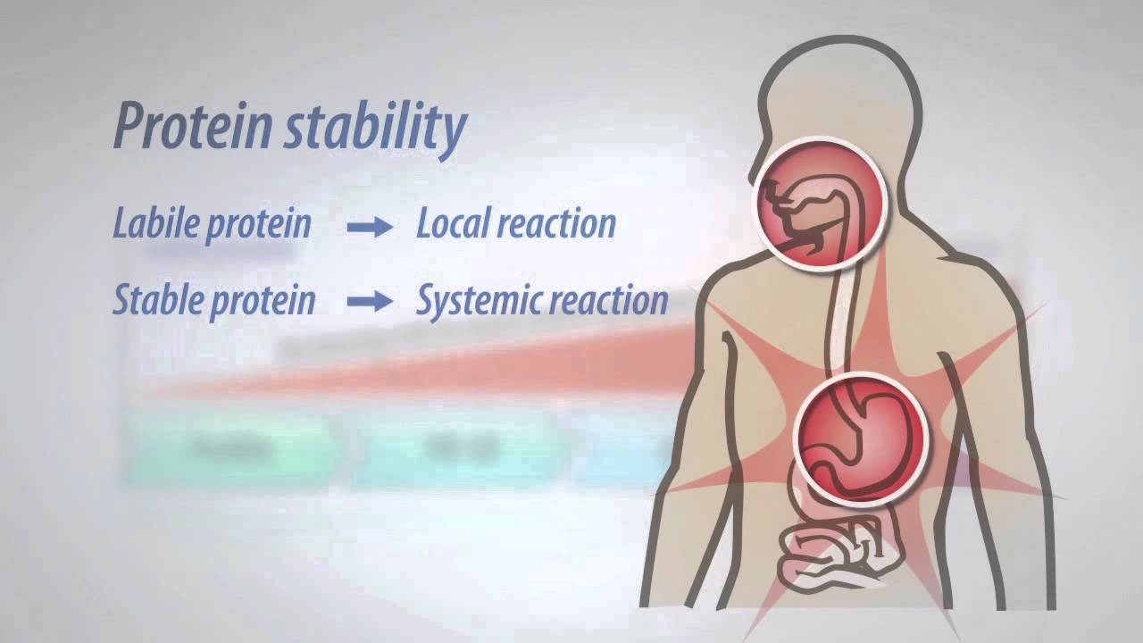 Molecular Allergy Component Testing