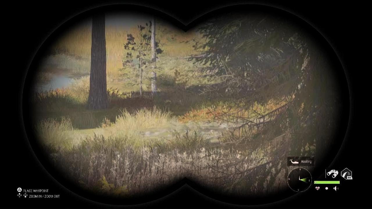 theHunter: Call of the Wild_20260214160327