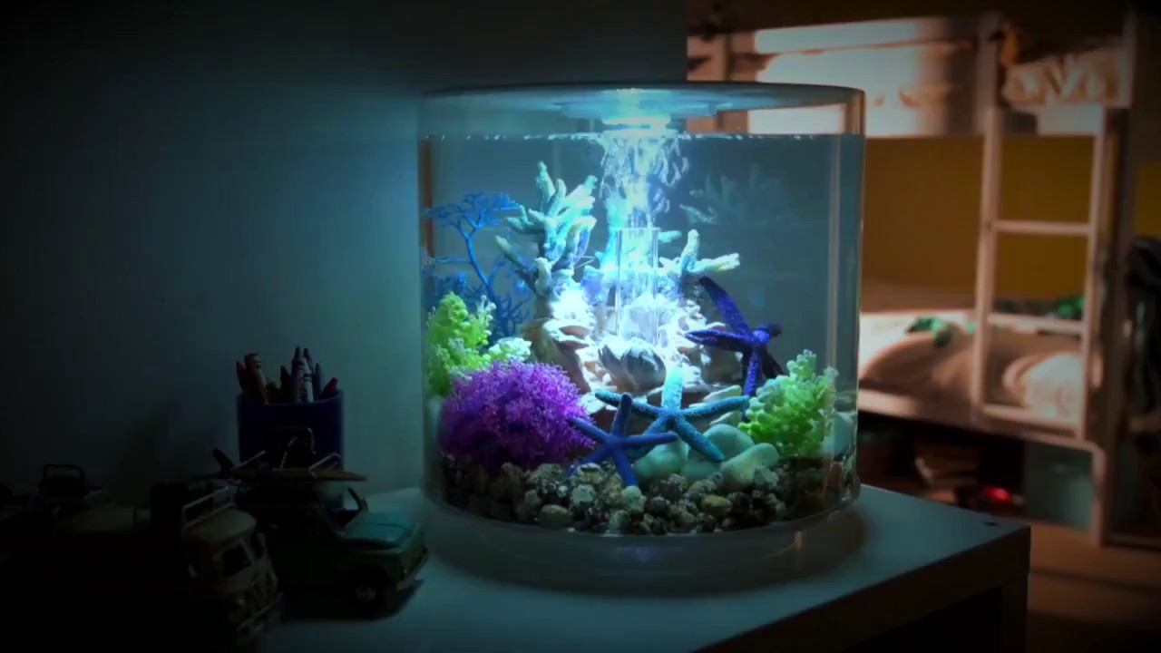 biOrb TUBE Acrylic All-in-One Aquarium with Multicolor Light