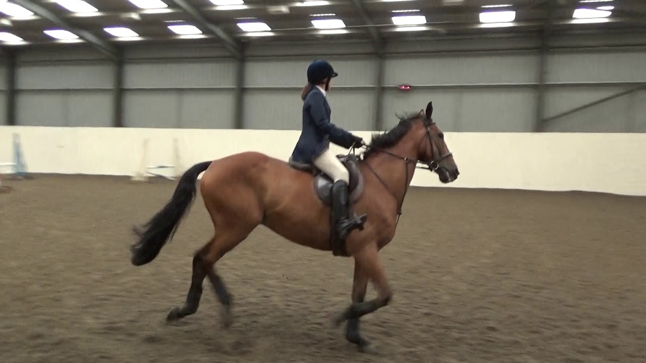 Showjumping Topthorn 1st place