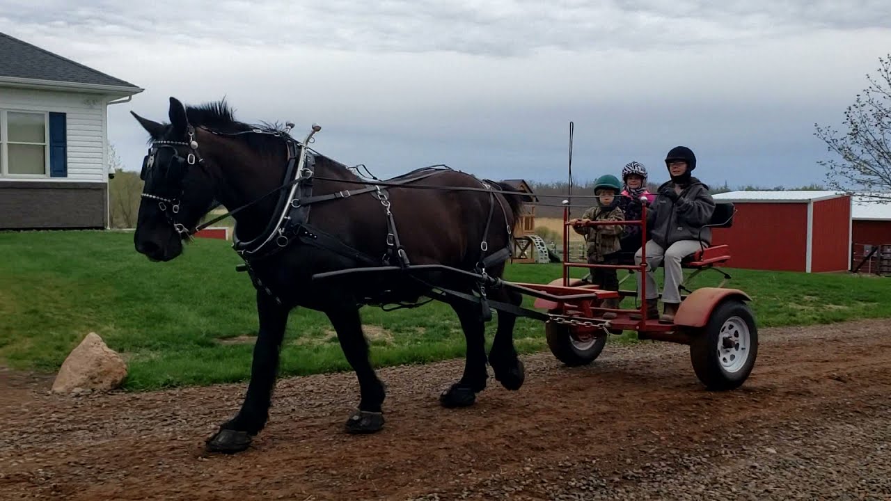 Our Farmstead Trail Tour via the Farmall Cub & Percherons