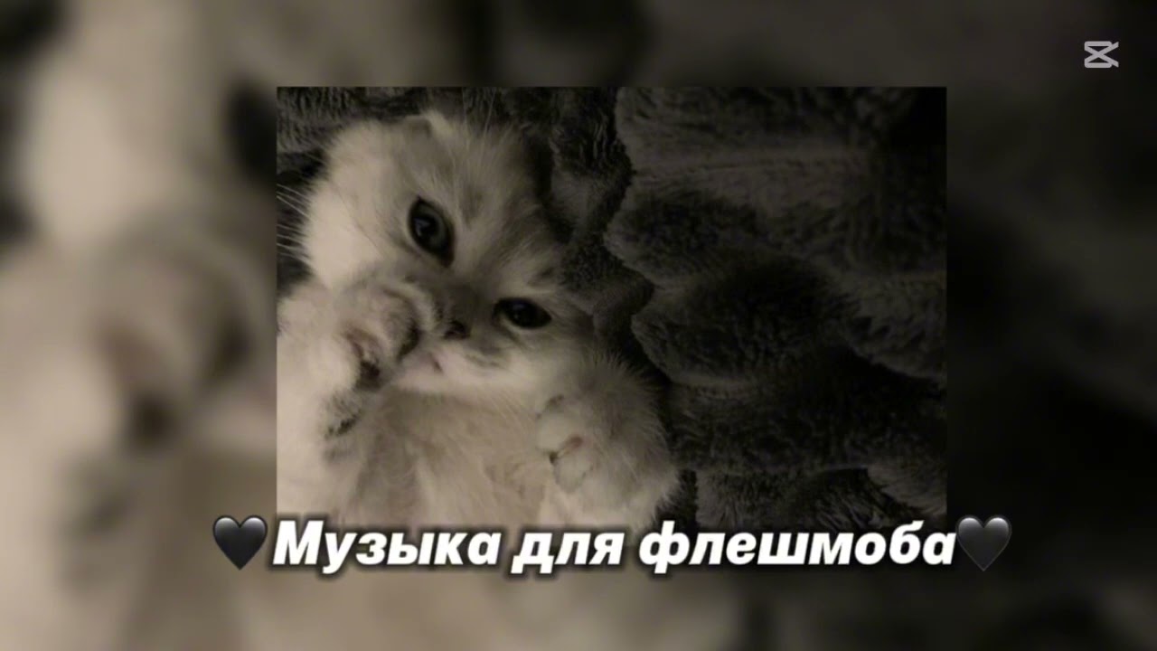 ||🖤музыка для флешмоба🖤||