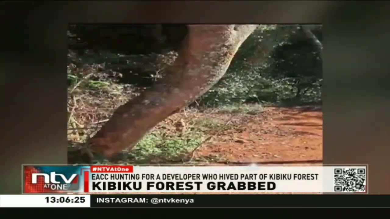 EACC hunting for private developer who hived 3 acres of Kibiku forest