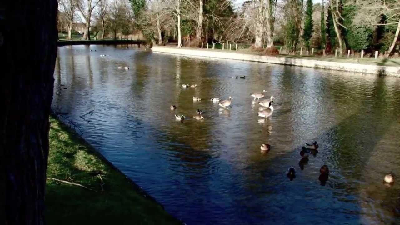 The Little Ouse river at Thetford, Norfolk.