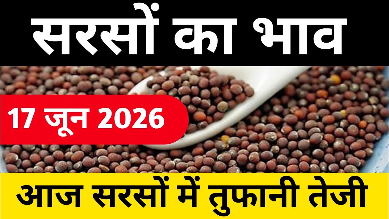 17 जून 2026 आज सरसों में तुफानी तेजी,आज के ताजा मंडी भाव,sarso ka aaj ka bhav,sarso ka taza bhav