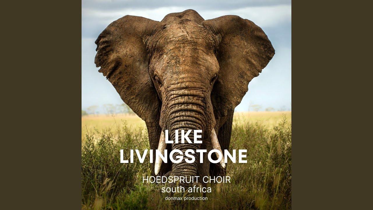 Like Livingstone