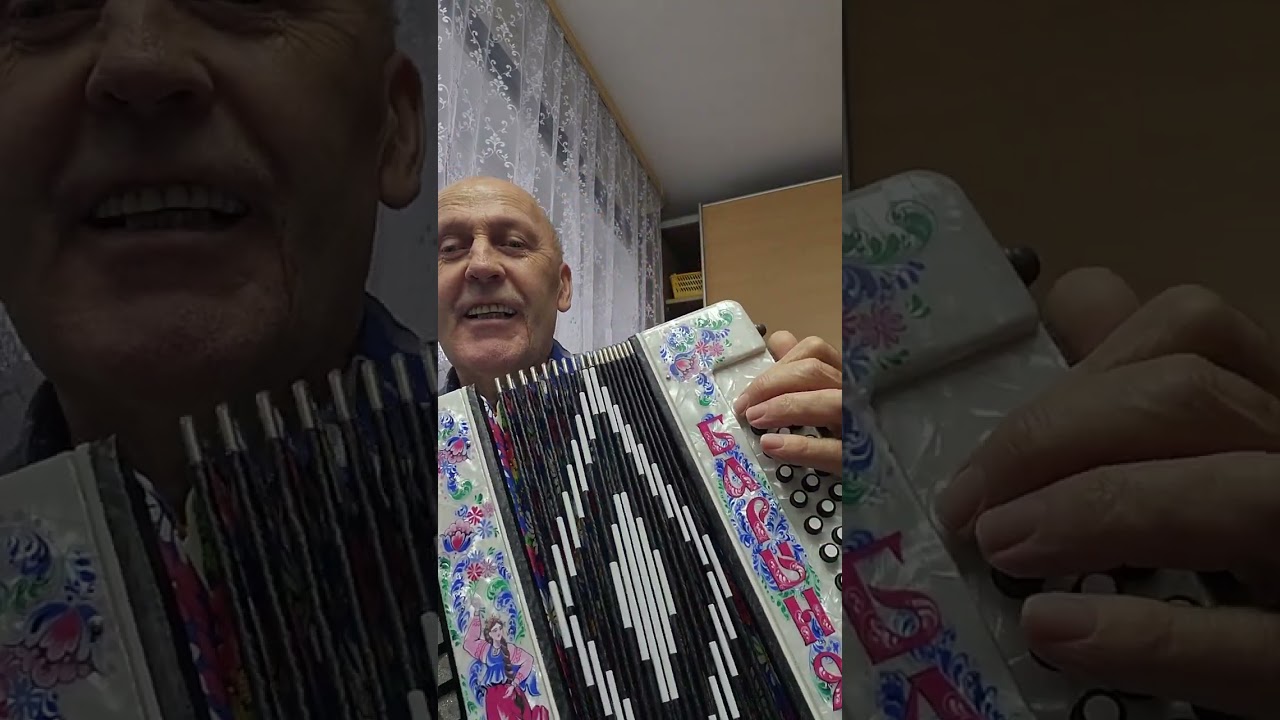 Новая гармонь Бариня.