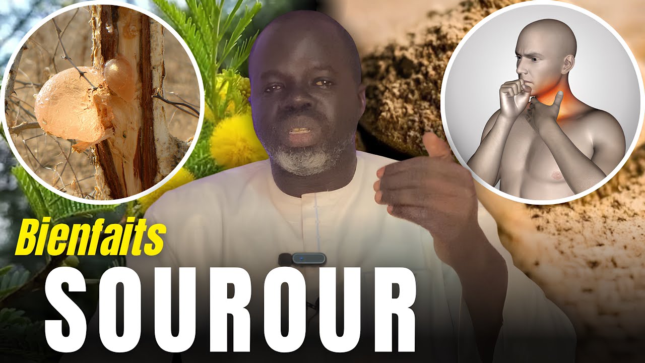 🌴 Ndiarignou SOUROUR : Vertus Acacia Seyal - Pr Ousmane Ndiaye - SAMA XALAAT TV