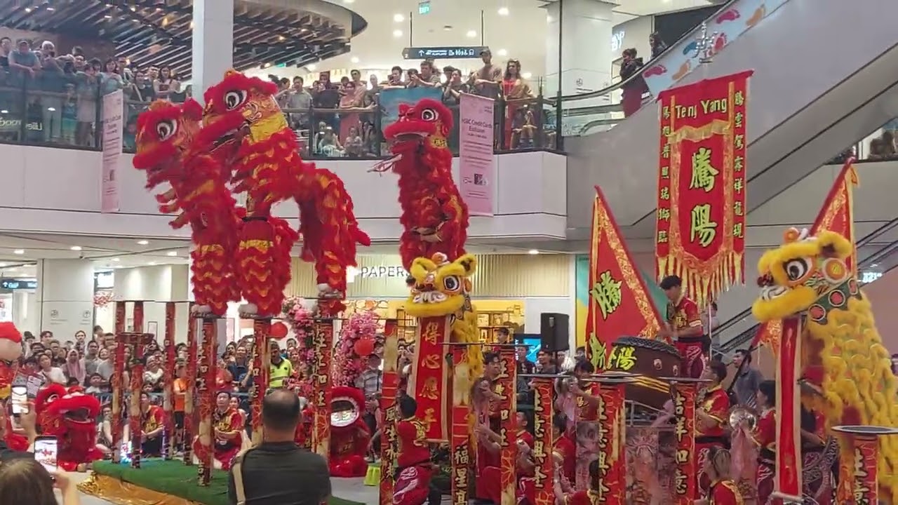 Singapore Tengyang dragon and lion association performance at Great world city 
