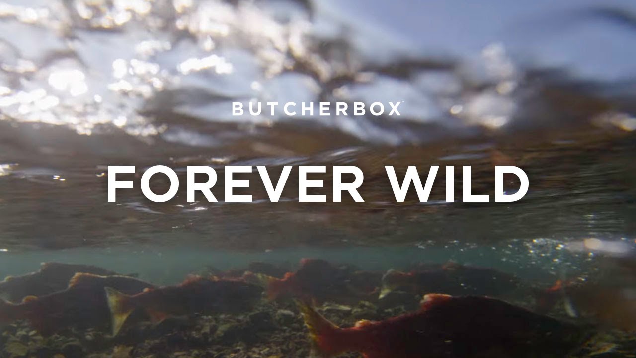 Forever Wild - Protecting Bristol Bay, Alaska