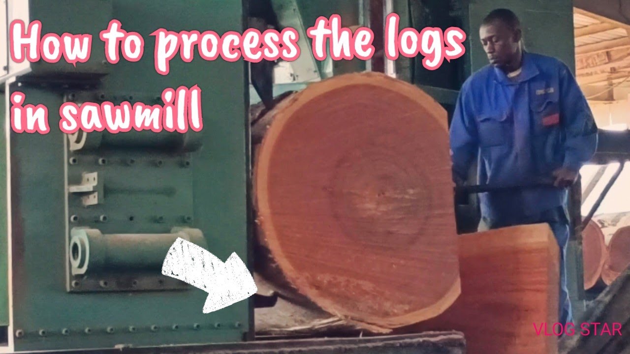 How to process the logs in sawmill factory!