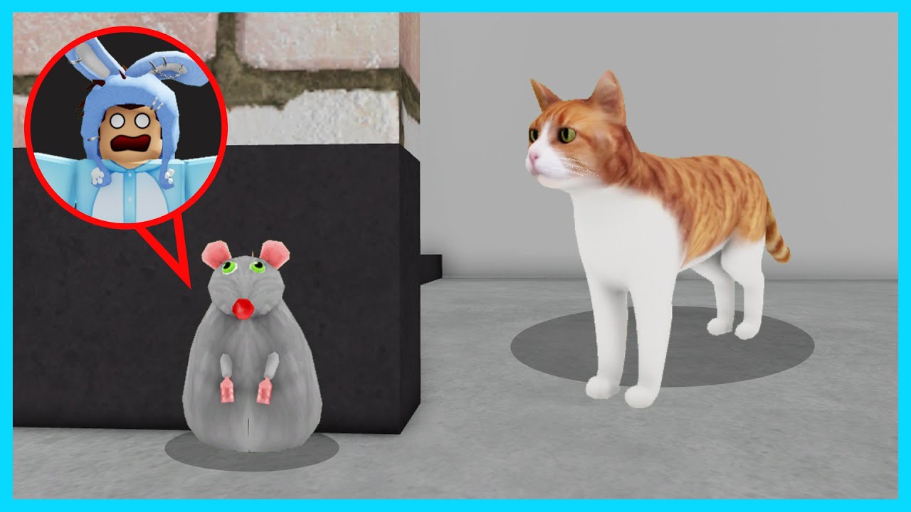 MIPAN & ZUZUZU Bermain Jadi Kucing Vs Tikut! ROBLOX