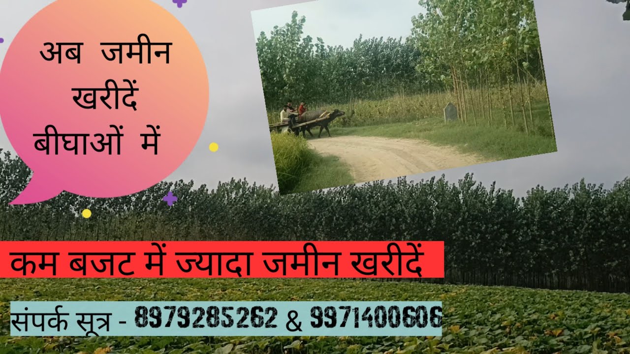 कम बजट में ज्यादा जमीन UK & Uttarpradesh बिहारीगढ़ में  Framhouse, ब्यवसाय के लिये सबसे उपयुक्त जमीन,
