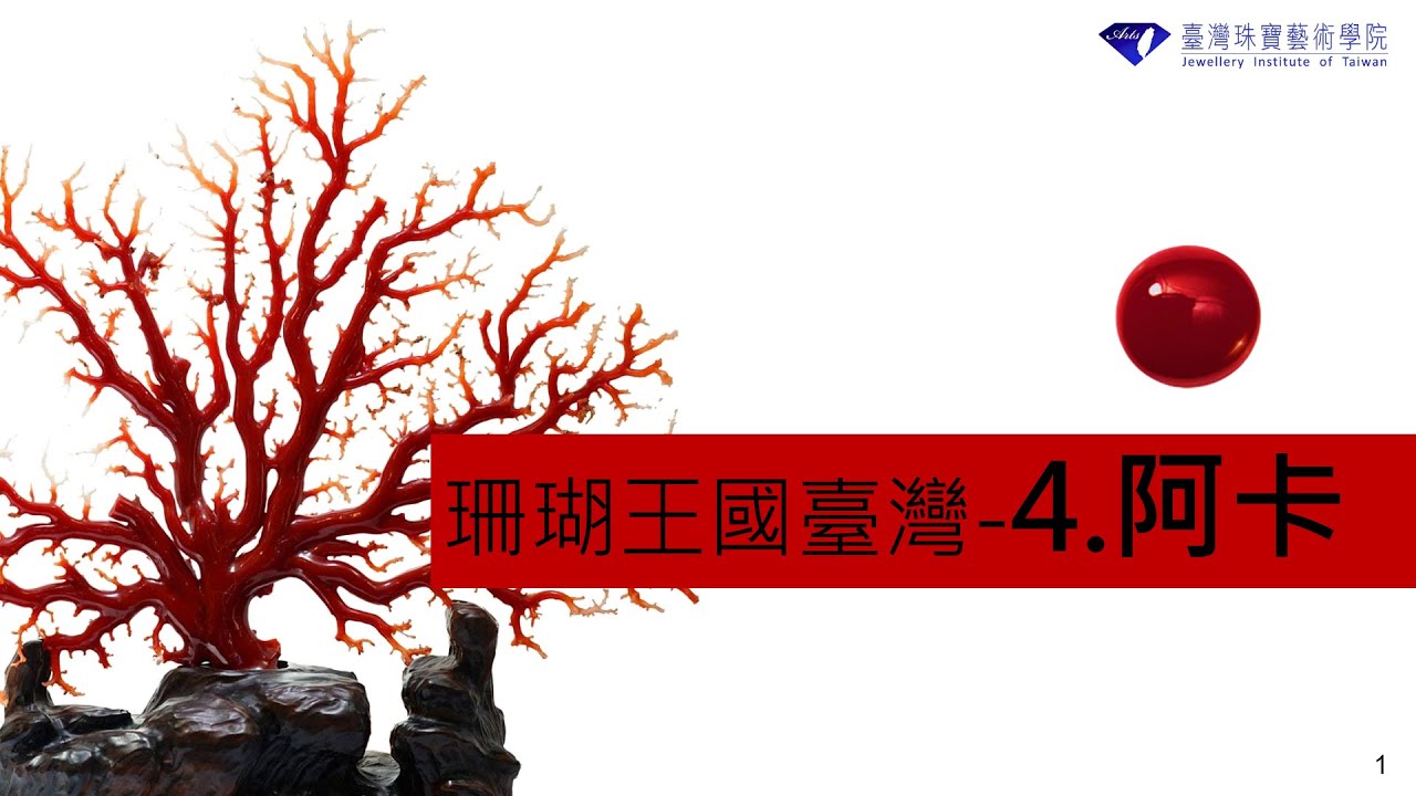 認識臺灣珍寶珊瑚｜4.阿卡 Aka Coral