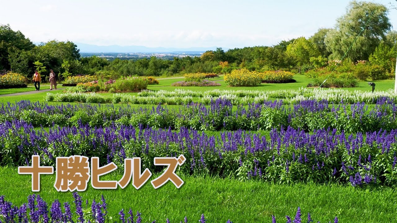 HOKKAIDO. Tokachi Hills at Tokachi Plain.十勝ヒルズ #4K