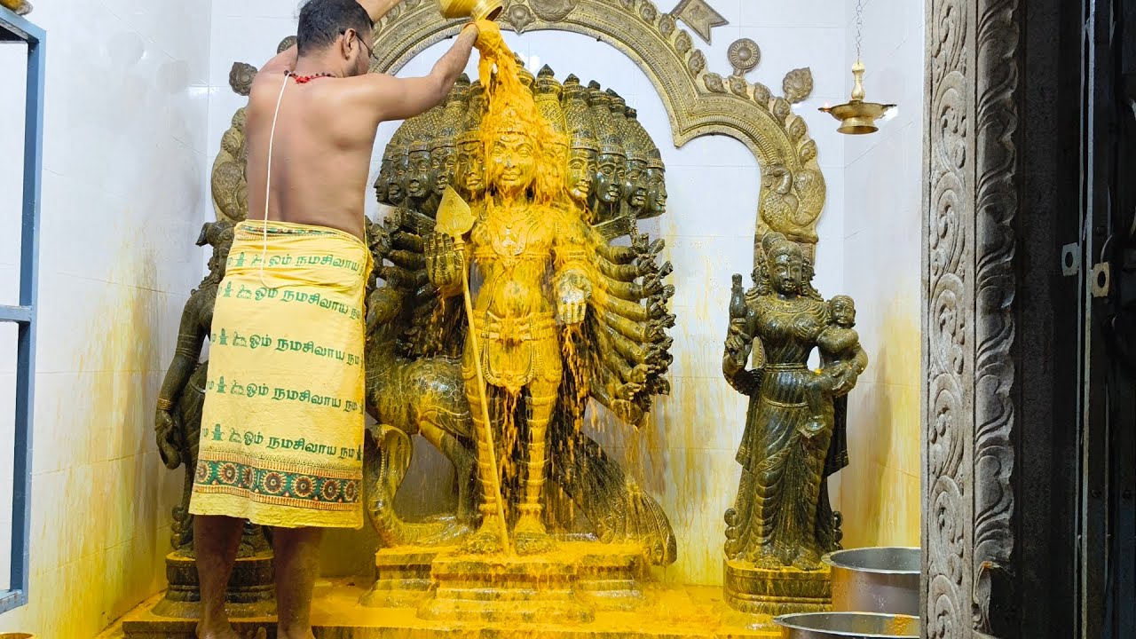 SRI VISHWAROOPA SUBRAMANYASWAMY THAI PUSAM ABISHEGAM 11 HEADS MURUGAN #தைப்பூசம் #thaipusam #murugan