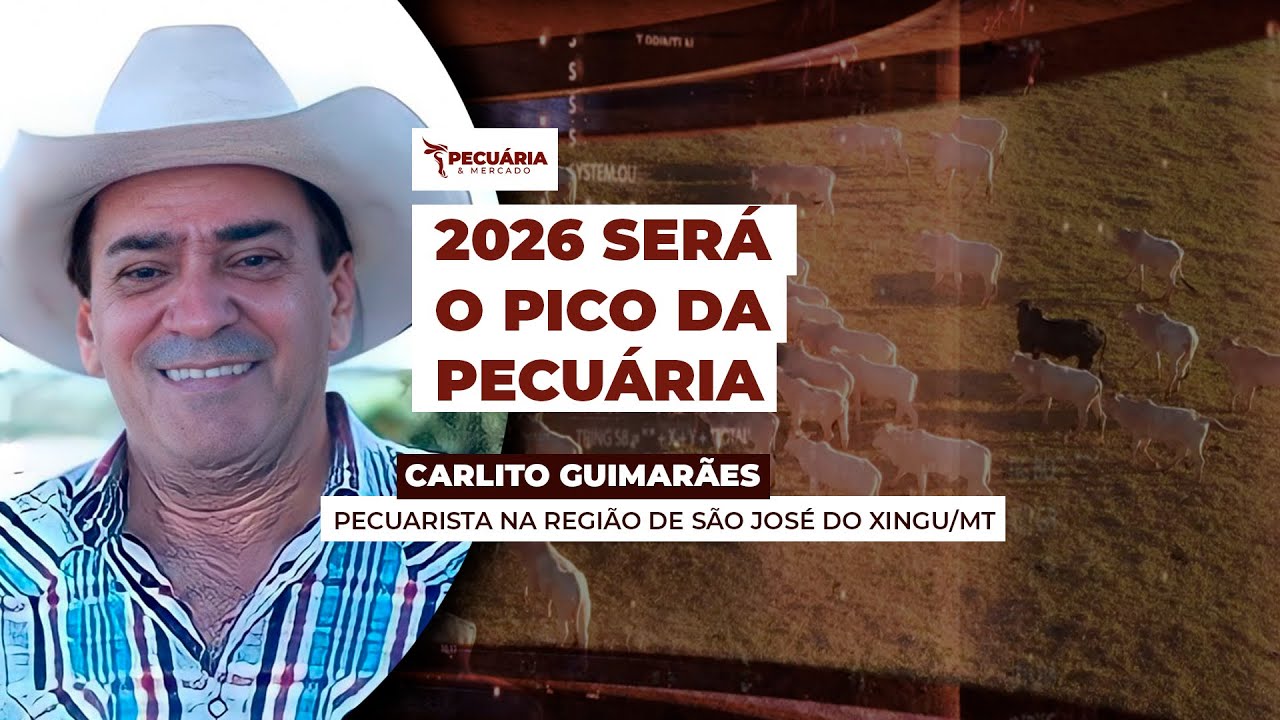 Arroba do boi pode chegar a US$ 70 até 2026, projeta Carlito Guimarães