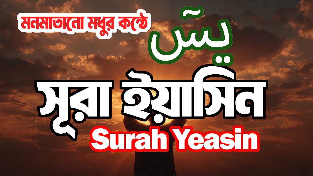 Surah Yasin | Heart Touching Quran Recitation | Peace, Forgiveness & Protection | Quran Er Noor
