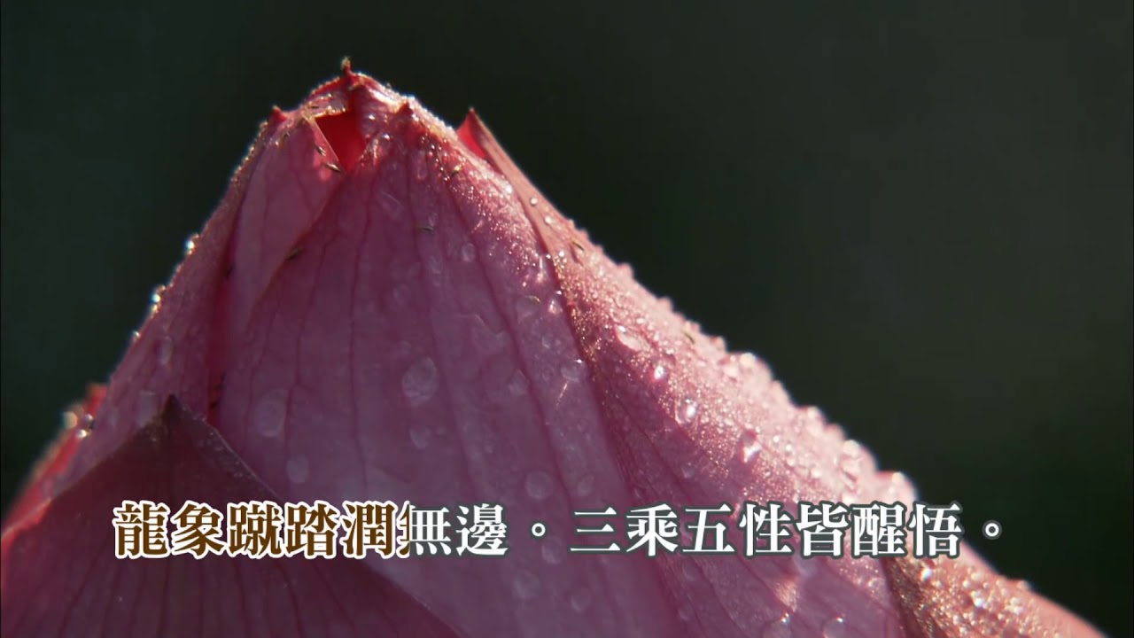 永嘉大師證道歌