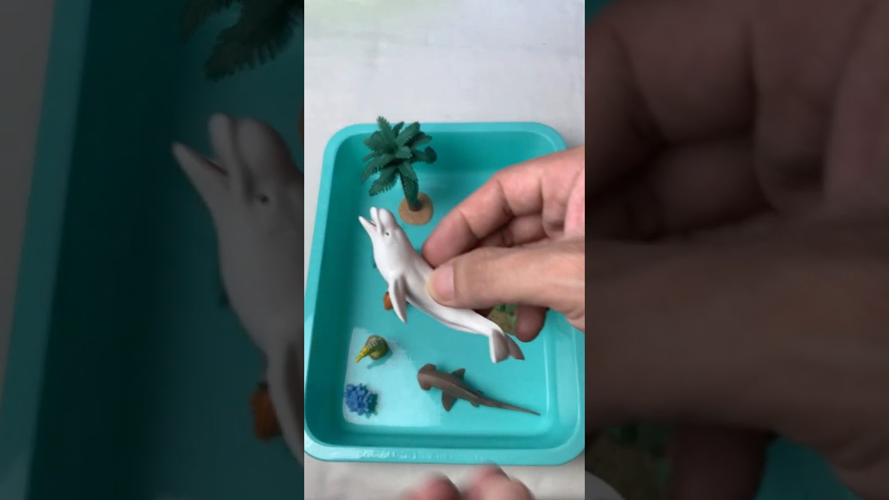 Miniature Sea Animal Toys Diorama Hammerhead shark vs Marine Reptile | ASMR Toy Video #asmrvideo