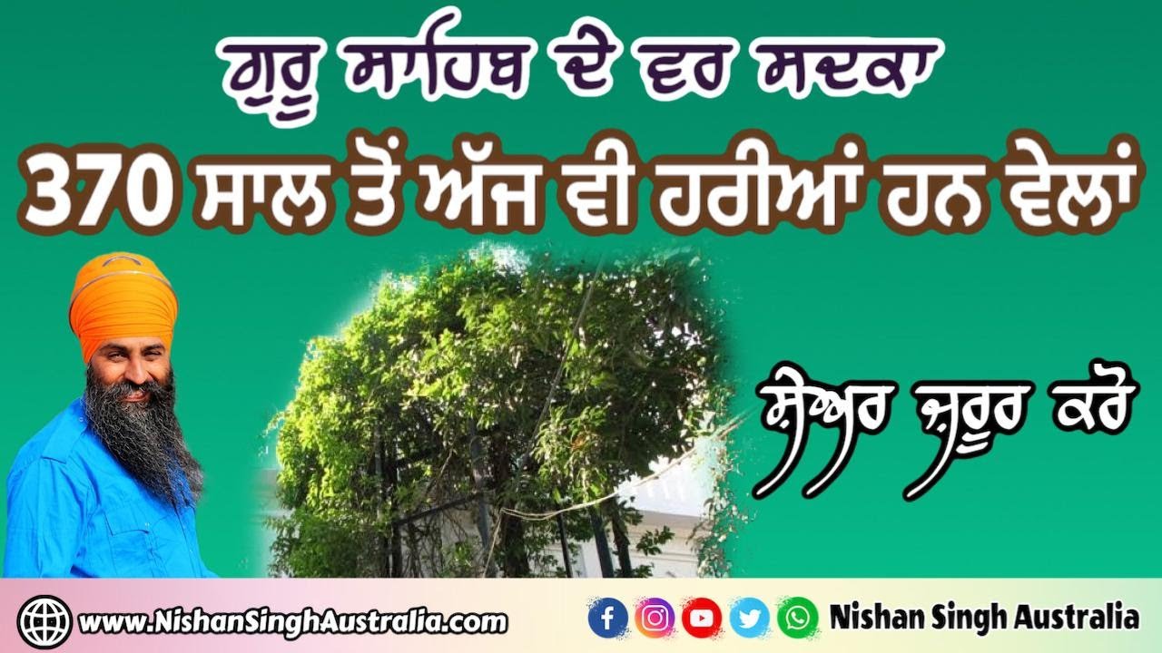 370 years old vines still green today | Harian Velan | Guru Har Rai Sahib Ji | Sakhi - Sikh History