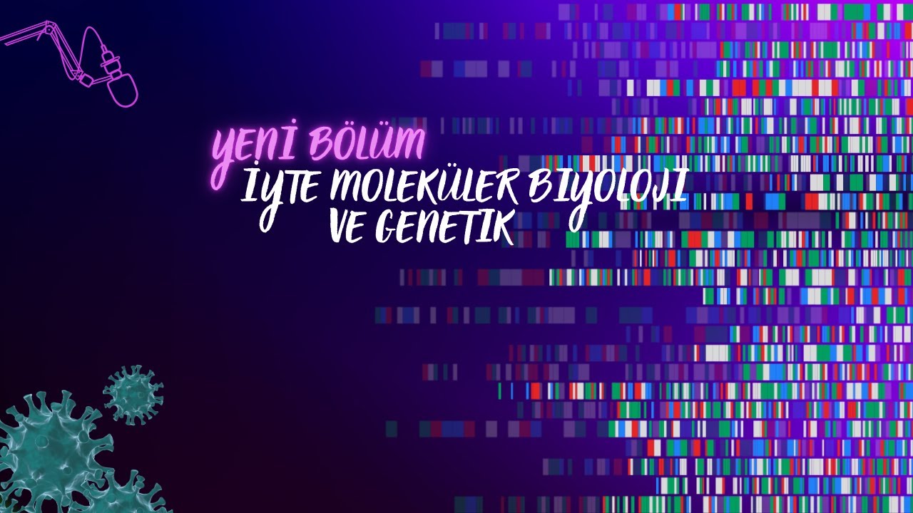 İYTE MOLEKÜLER BİYOLOJİ VE GENETİK